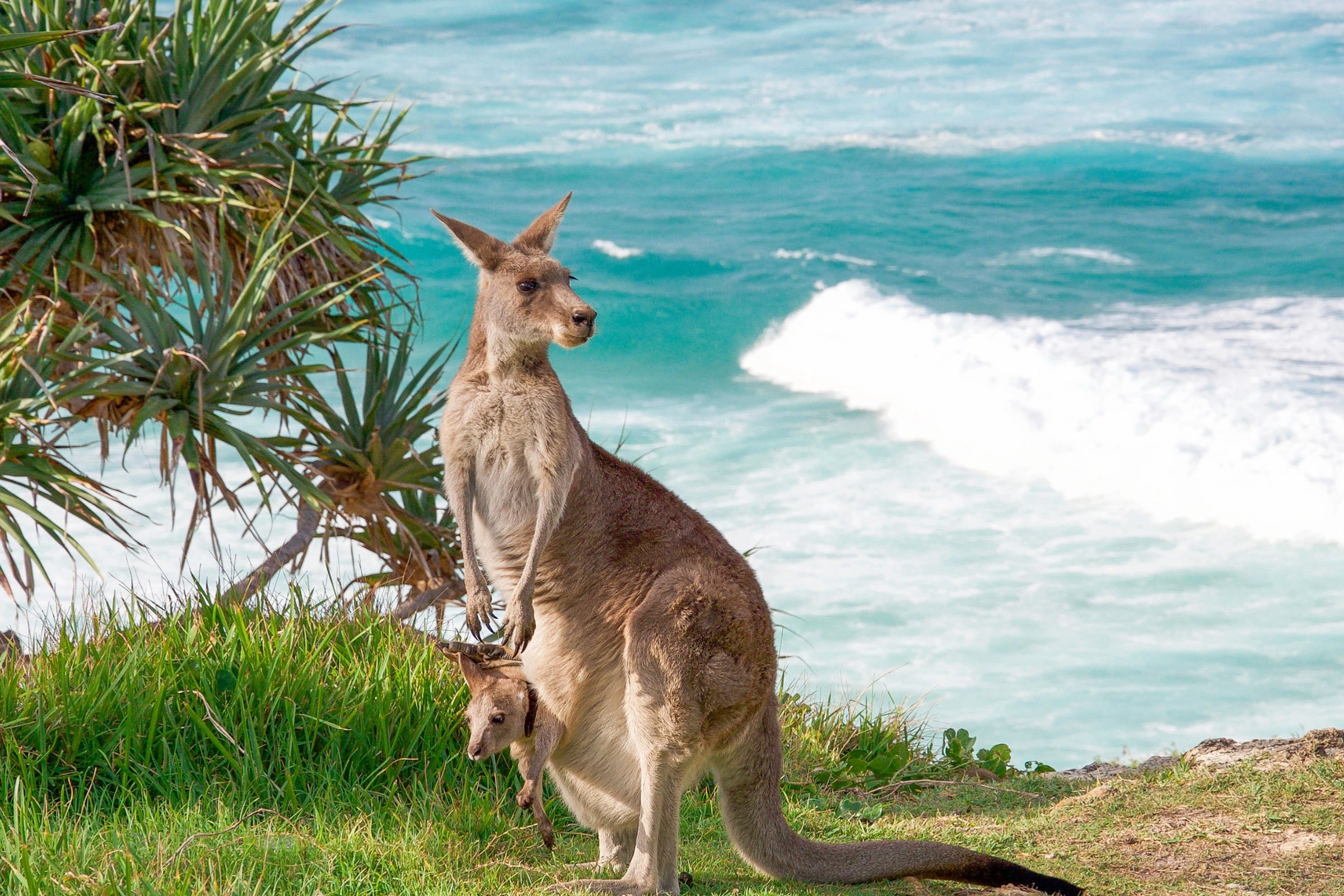 Australia Cruise & Sydney Stay – Celebrity Edge (13 Nights)